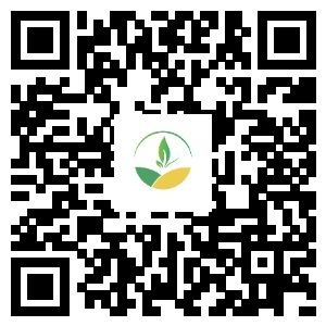 沸点营销网首页注册.png